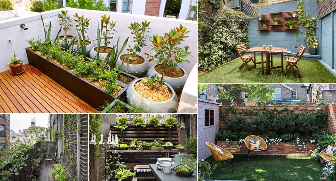 Small Terrace Garden