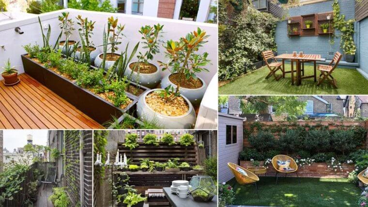 Small Terrace Garden