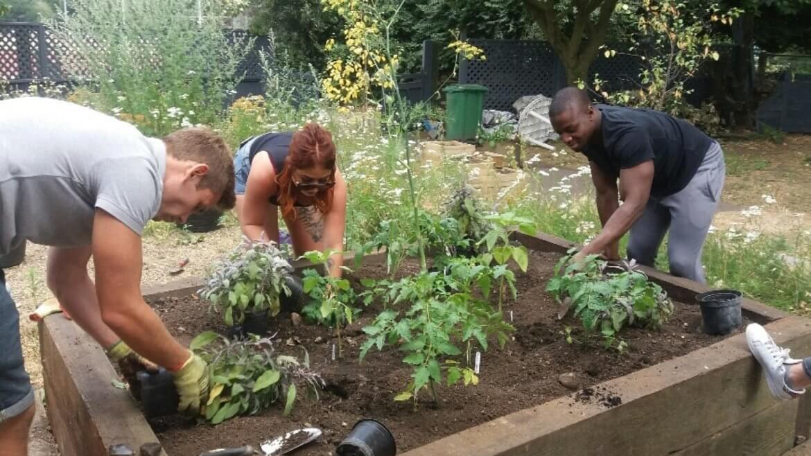 Gardening Boosts Mental Health