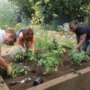 Gardening Boosts Mental Health